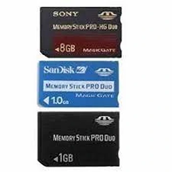 Memory Stick Duo Pro